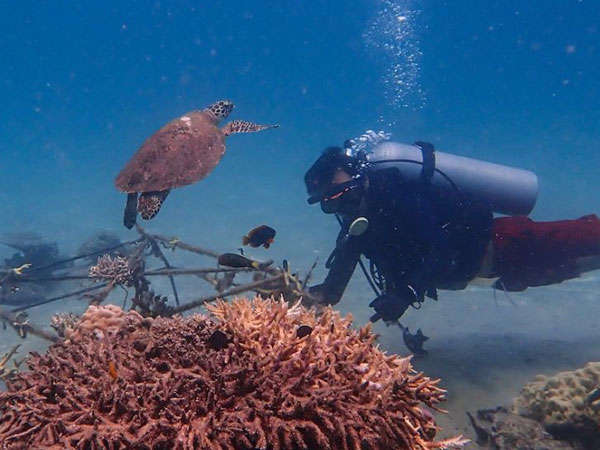 Tēnaka partners with Orange Business to scale its coral reef restoration program Tēnaka partners with Orange Business to scale its coral reef restoration program