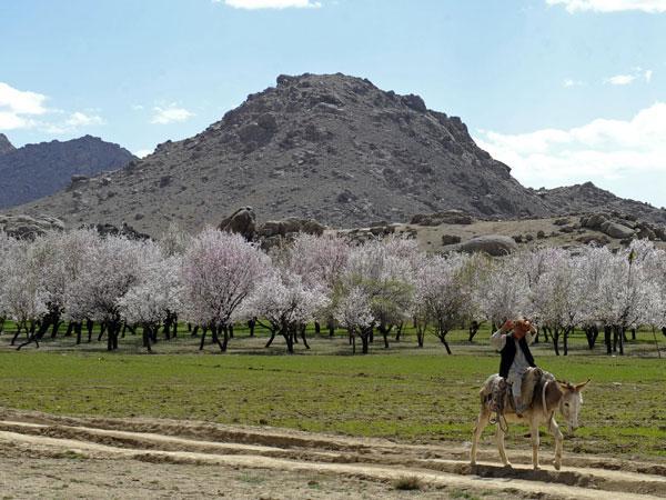 AWCC taps Optiva for charging & policy control in Afghanistan AWCC taps Optiva for charging & policy control in Afghanistan